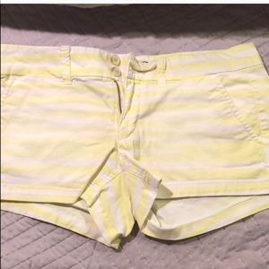 American Eagle Neon zebra striped shorts